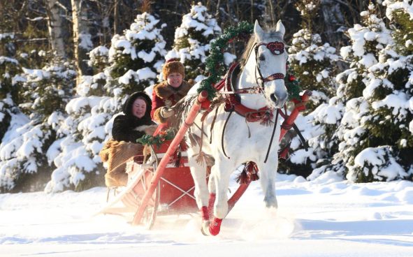 Изображение акции