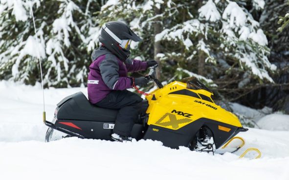 Изображение акции